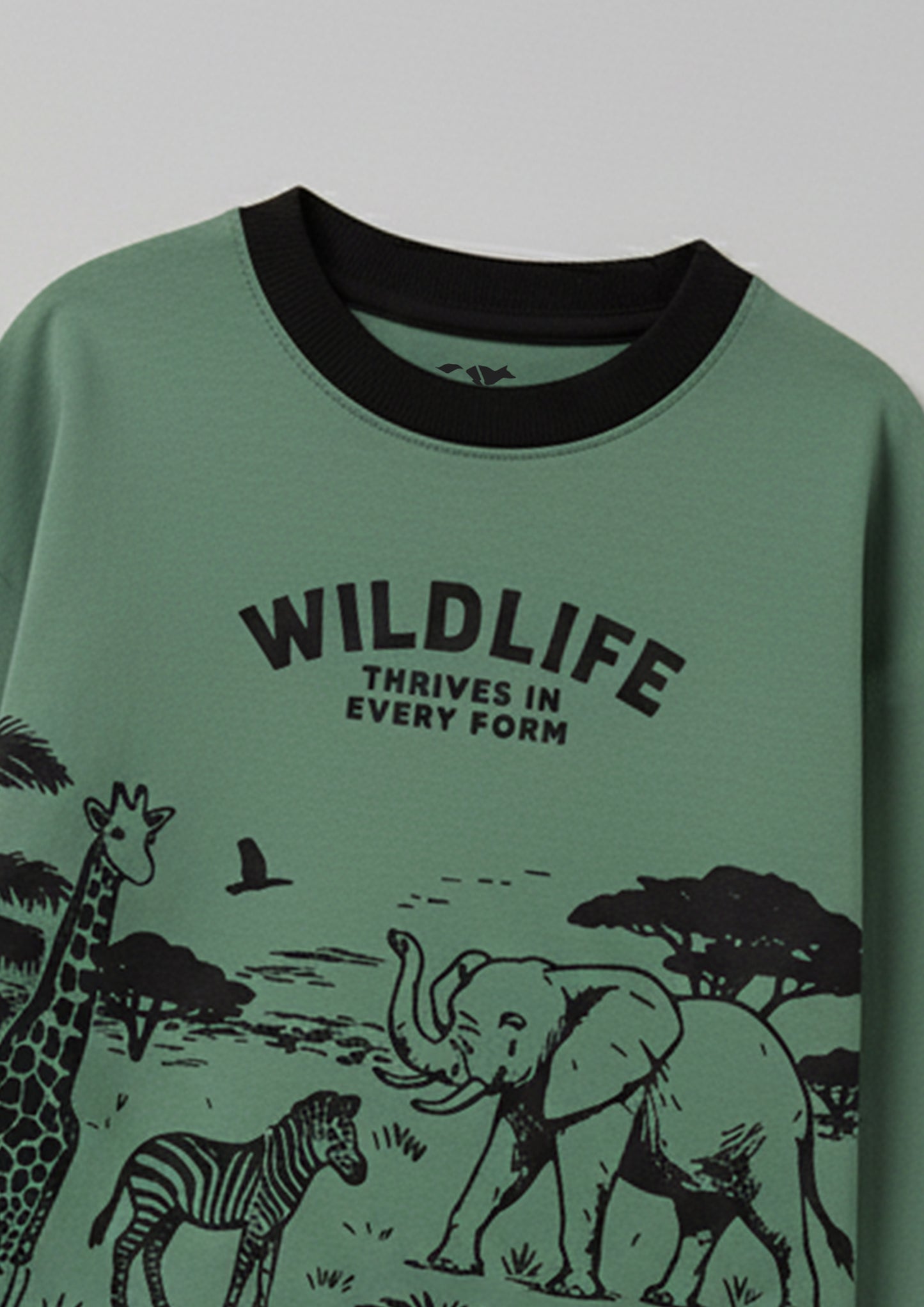 Boys Wildlife Graphic Print Long Sleeve T-Shirt