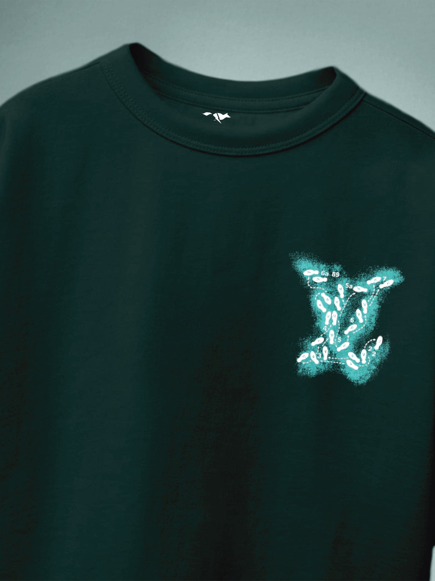 Boys Graphic Print Pure Cotton Oversized T Shirt