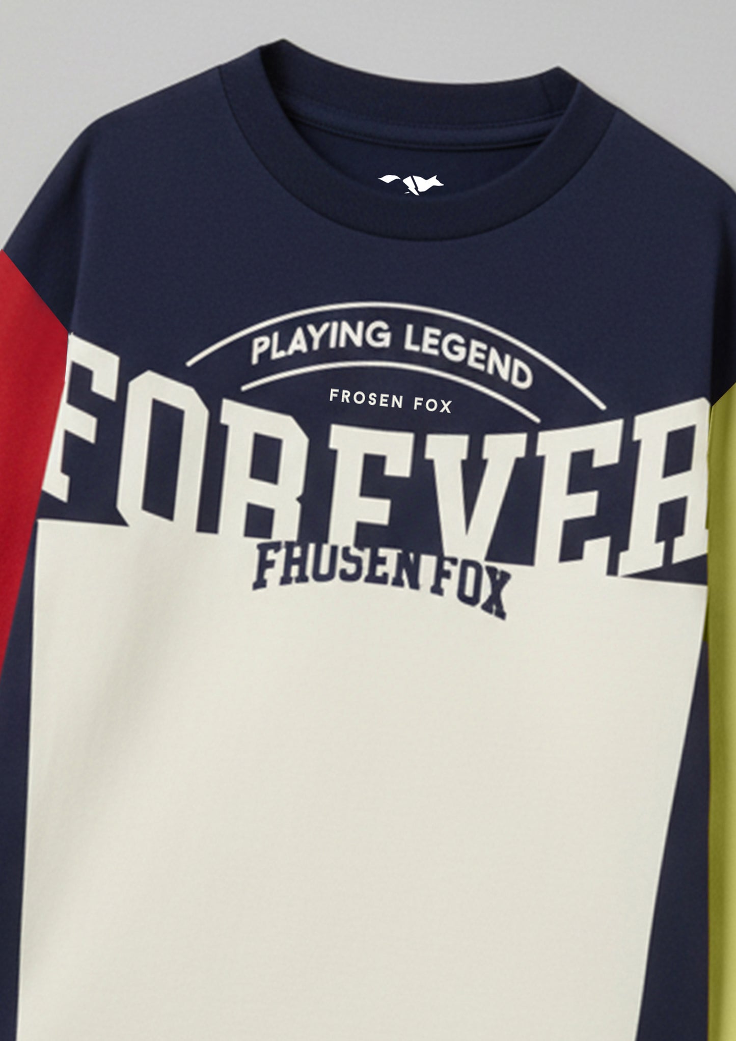 Boys Colorblock Graphic Print Long Sleeve T-Shirt with Contrast Sleeves